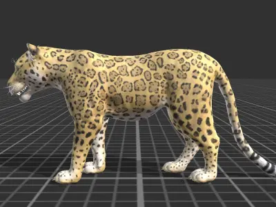 Jaguar 3D model