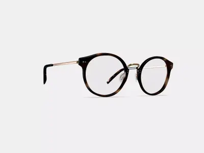 Jayla Eyeglasses in Cognac Tortoise with Polished Gold Low-poly 3D model