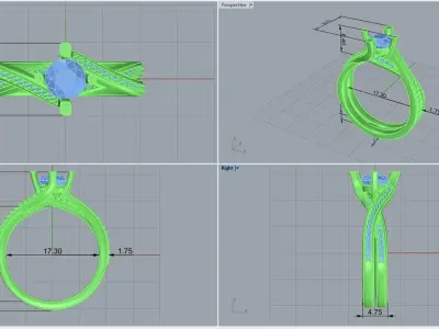 ring code 216 3D print model