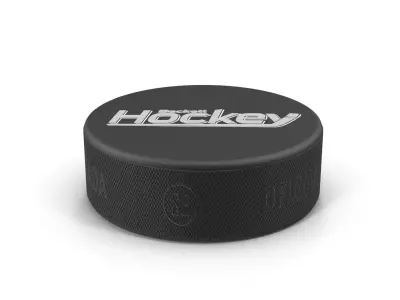Hockey Puck 2 3D model