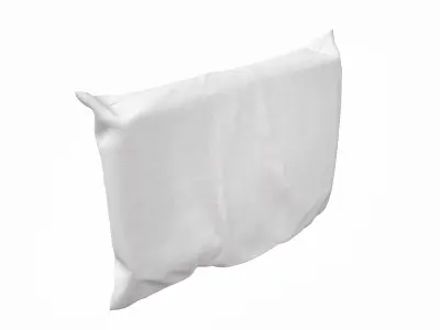 Solid Pillow 13 3D model