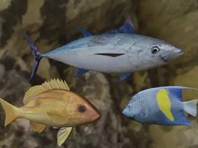 Fishes tuna fish in ocean 3D Model Collection