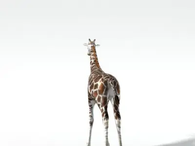 Giraffe Low-poly 3D model