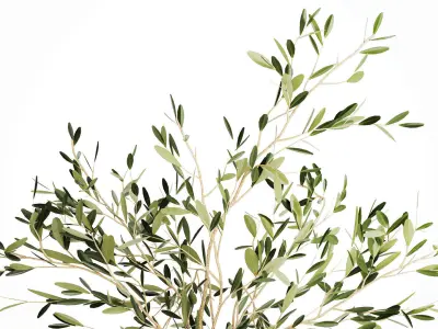 Realistic flower bouquet decoration of olive branches 3D model