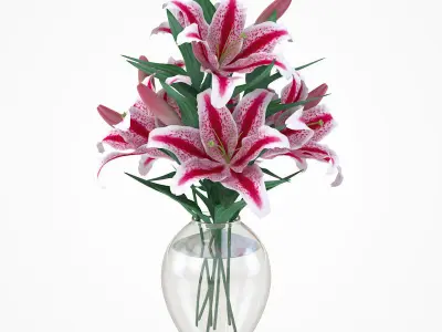 Flower Collection 4 calla lilies in vase 3D model