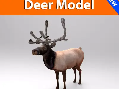 3D Reindeer game ready elk with antlers Low-poly 3D model