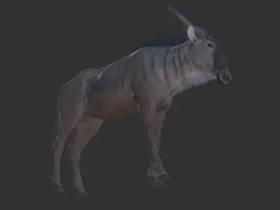 Wildebeest Low-poly 3D model