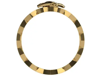 Ring 0210 3D print model