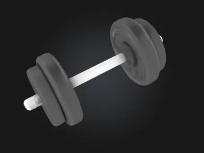 Dumbbell Display  Compact Strength with a Polished Presentation 3D model