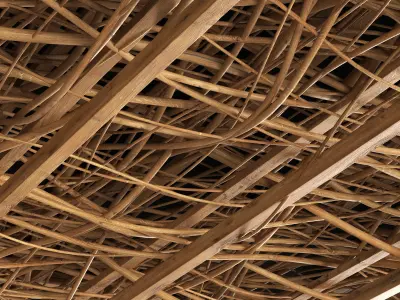 Ceiling canopy branch thin crooked 3D model