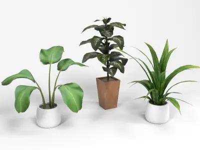 Plants 1 Low-poly 3D model