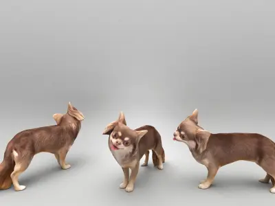 Funny dog 29 Low-poly 3D model