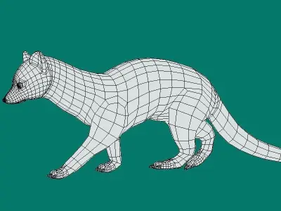 Genet Animal Game Ready Low-poly 3D model