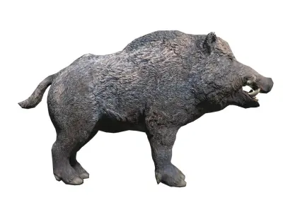 Wild Boar Low-poly Low-poly 3D model