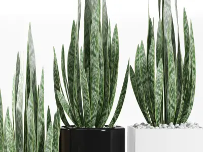 Plants 103 3D model
