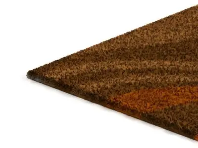 Onion 2 Carpet 3D model