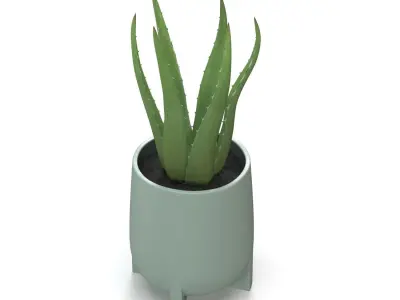 Stoneware Footed Aloe vera Planter  PBR 3D model