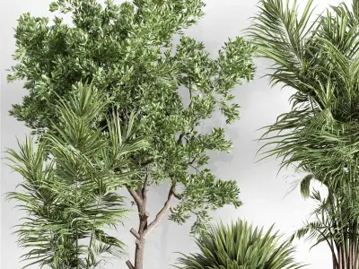 indoor plant set 442 plant tree palm grass bush Low-poly 3D model