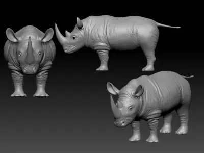 Stylized Rhino 3D model