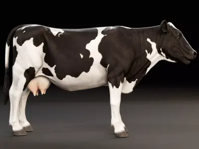 Cow - Animal  Low-poly 3D model