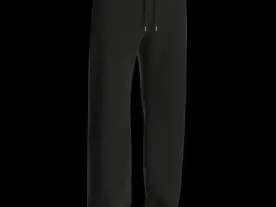 Male sweatpants 3D model