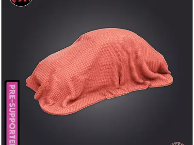 Car Cover Beetle 3D print model