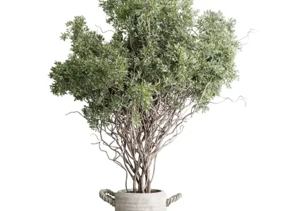 Indoor Plant Set 499 - Tree in old concrete pot 3D model