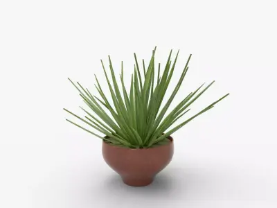 Aloe vera plant in Terra Cotta Planter 3D model