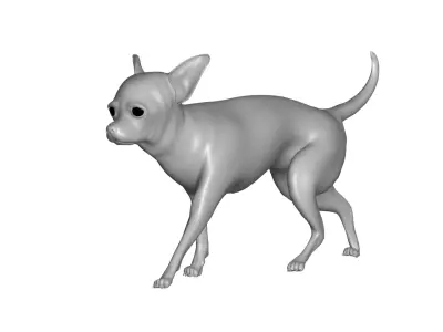 Dog - 3D model order
