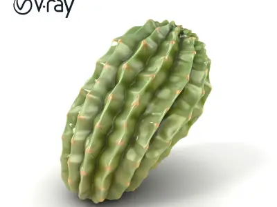 Cactus Wrinkled Overlapping Segments model pack Low-poly 3D model