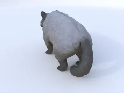 Binturong 3D model