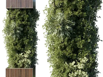 Column plant - pillar plant - column garden ivy 10 3D model