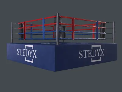 boxing ring 3D model order