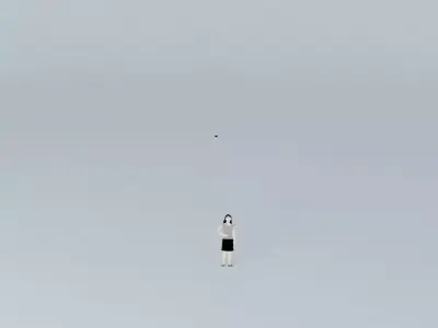 Solar Panel Free 3D model