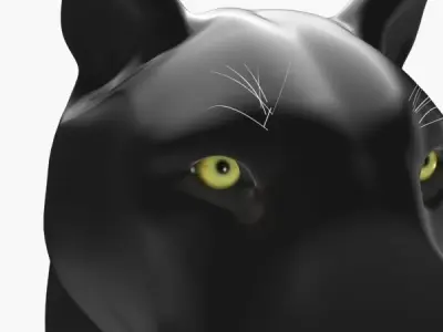 Feline Panther - 3d model 3D model