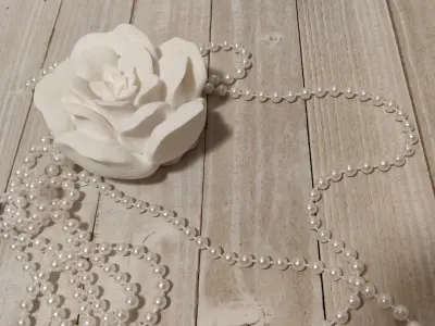 Christmas Rose 3D print model