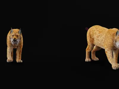 Carpathian Lynx Low-poly 3D model