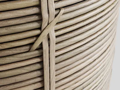 A SET of plants and cactus in handmade wooden baskets 286 3D model