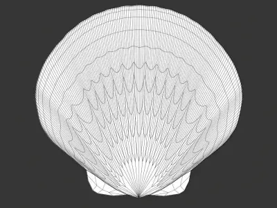 Sea Shell PBR Free 3D model