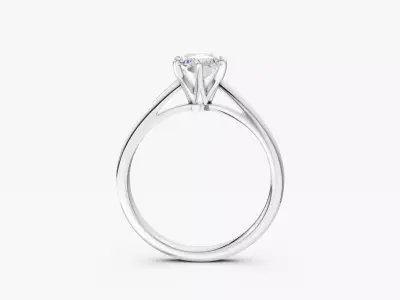 ZABS006A RA ENGAGEMENT 3D print model