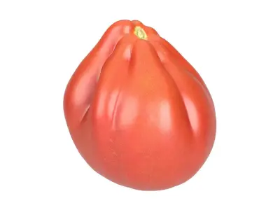 Photorealistic Oxheart Tomato 3D Scan 3D model