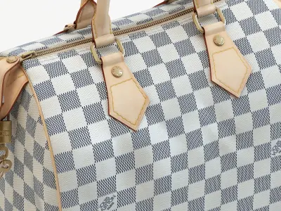Speedy 25 Hand Bag Checker Blue Low-poly 3D model