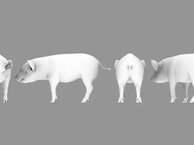 cute pig 3d model 3D model
