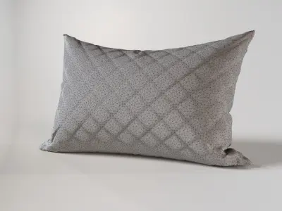 Realistic Pillow  Set  Hight Quality 3D Model 3D model