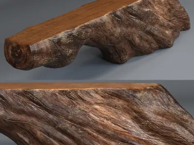 Reception with Natural elements  3D model