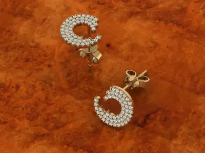 Diamond Jewelry Earring 3D print model shop