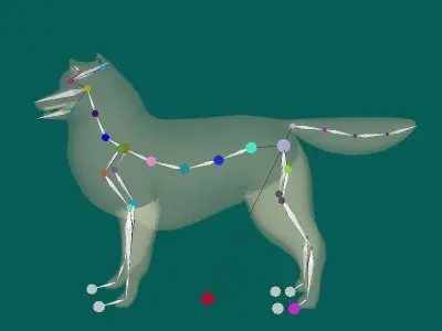 Rough Collie Dog Low-poly 3D model