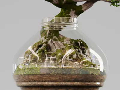 Bonsai Tree Indoor Plant 02 3D model