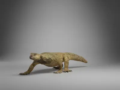 Dhub Lizard Animation - VFX Grace 3D model