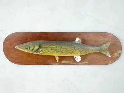 Fish Mounts Collection